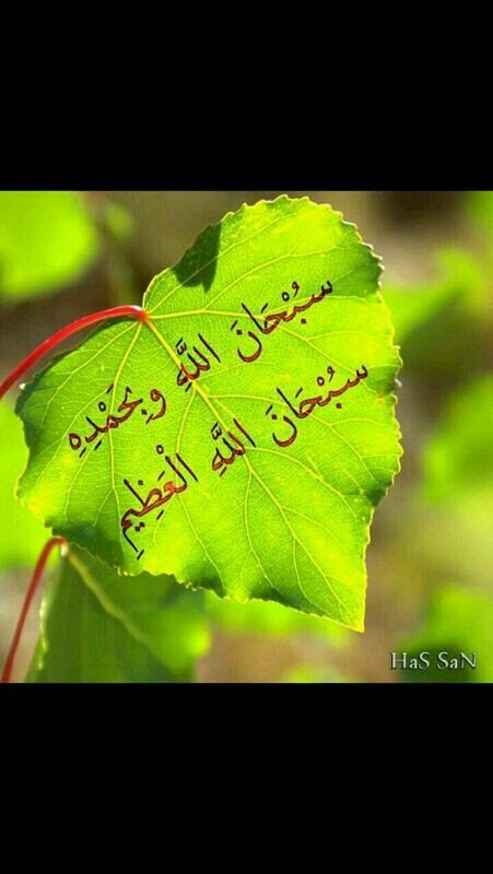 احب حياتي كثير والكوميديا والاكشن والرعب اكلاتي المفضله ورق عنب