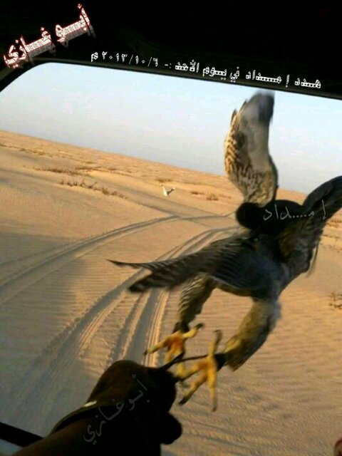 من مدرسة الباديه