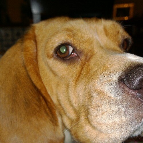 ManziCaterina's profile picture. 