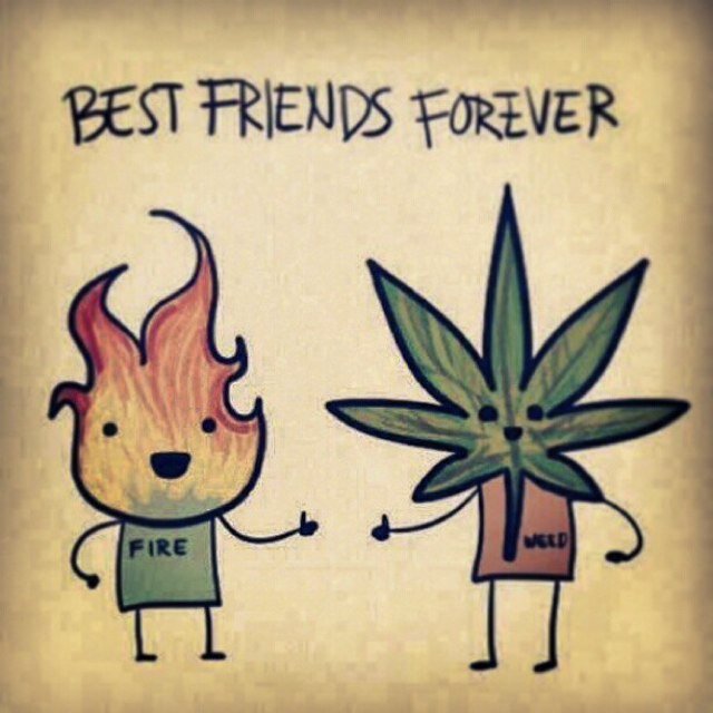 fireandweed's profile picture. the two best friends anyone can ever have! #fireandweed