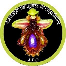 Associação Portuguesa de Orquidofilia (Portuguese Orchids Society) is the first Portuguese Association devoted entirely in disclosing these wonderful plants.