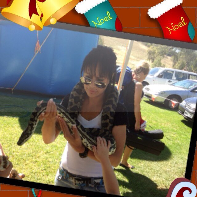 Loving life, hubby, kids, dog, cat, birds exercise, & chocolate, are a few of my favs ;)