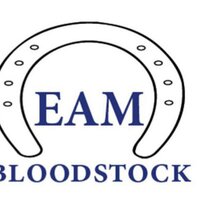 EAM Bloodstock (@eambloodstock) 's Twitter Profile