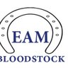 EAMBloodstock's profile picture. Phone number,Numéro de téléphone,Telefono movil:+447476184066