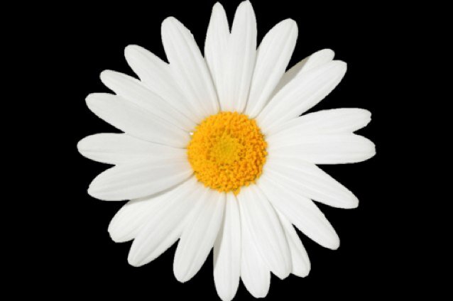 iwishiwas83's profile picture. 