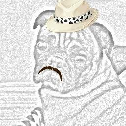 TransmediaBog's profile picture. Vallenato lovers, Carranga dancers, Tejo players, Chicha drinkers & Short stories tellers