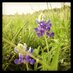 Texas Weekend (@texasweekend) Twitter profile photo Texas Weekend (@texasweekend) Twitter profile photo