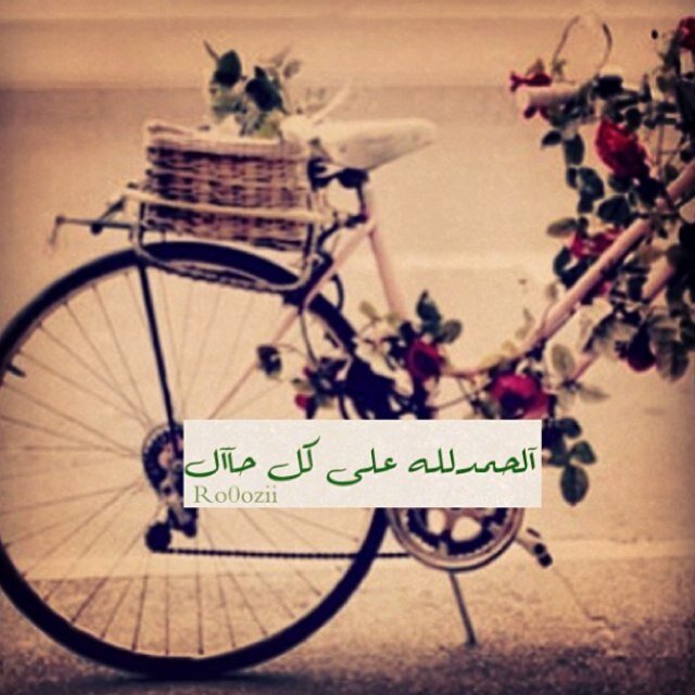رِبـيَ آحبنِي فاَناَ أحـبكً وشتاَق لـقربك