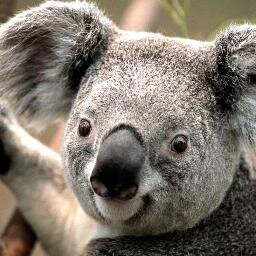 eu me amo!!!!!!!!!!!!!