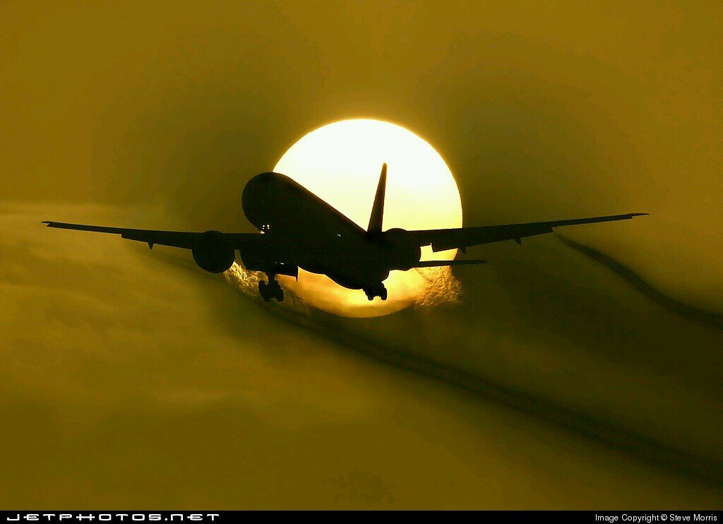 levc65's profile picture. 