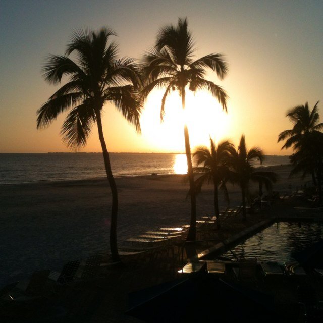 wife & mother of 2. Beach lover. Passionate about education. #Godhasme #blessed
