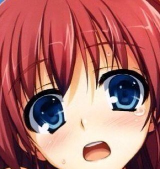 フォロワー大募集だよ