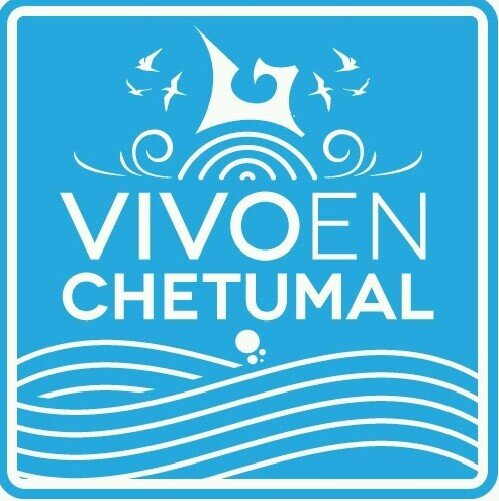 VivoEnChetumal Profile Picture