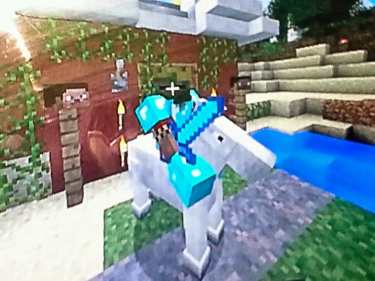 TeamMojang I am A Fan For XboxComputerPhone I playDota2Diablo3AndOthers I make Servers And I have A Team 585