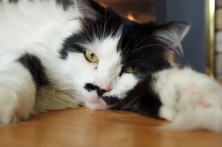 WendyLou_Who's profile picture. I have been a wife for 38 years, mother of 2, adopted grandma to 2 girls and mom to 3 cats. I am giving myself new challenges and becoming techno sauve.