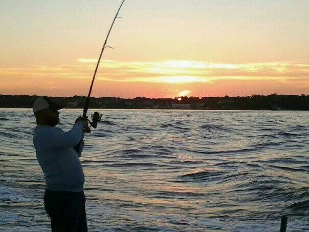 I like the Vols and being on/in/around the water.