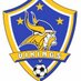 Vikings Soccer (@howellsoccer) Twitter profile photo