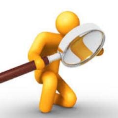 SEO and website development expert