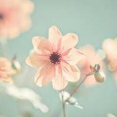 احبك يا خالقي Pxpxmna Twitter