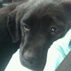 lamami_311's profile picture. dime linda te llenaste d odio la makate love #laura