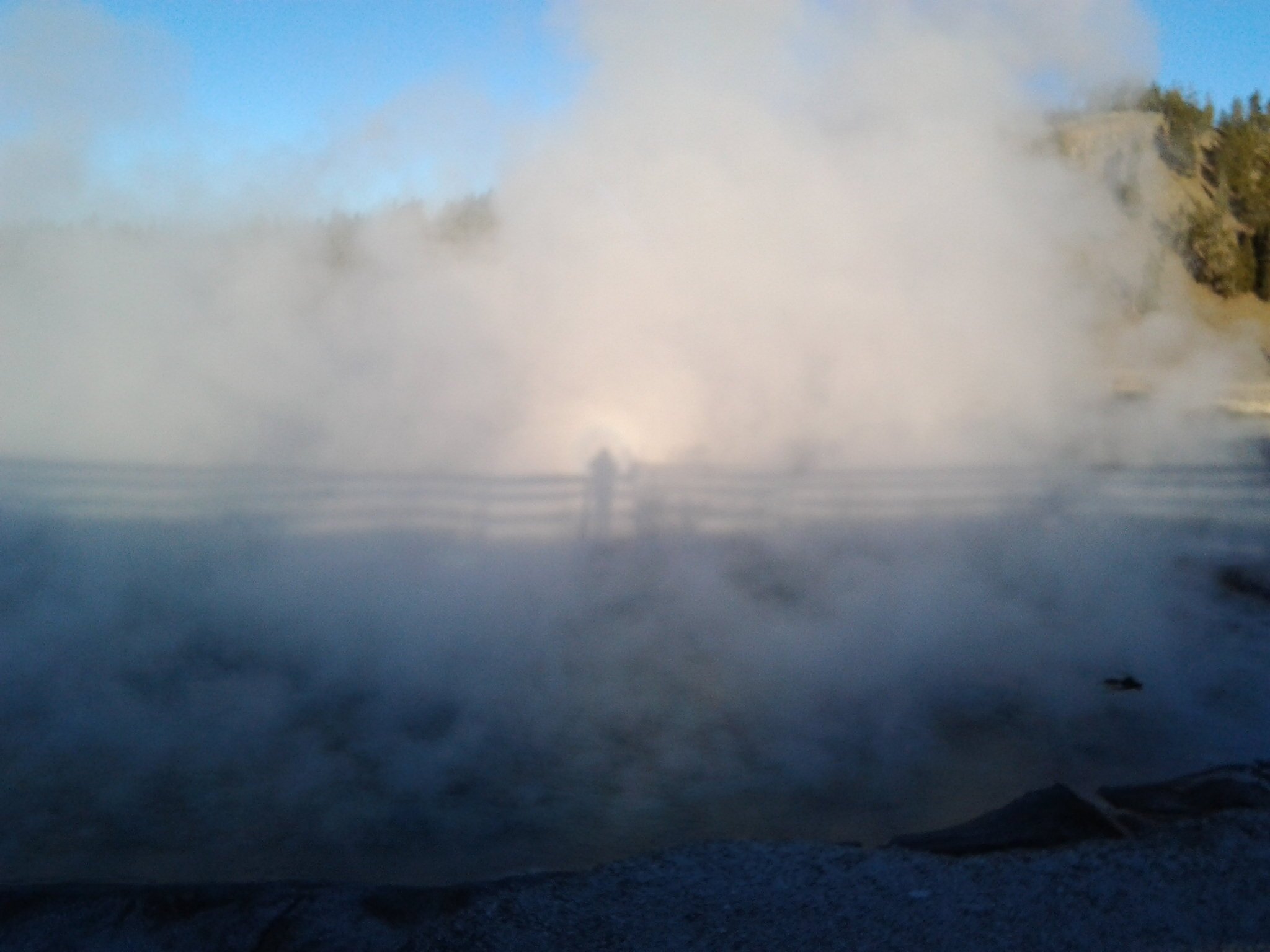 suzannepickard's profile picture. 