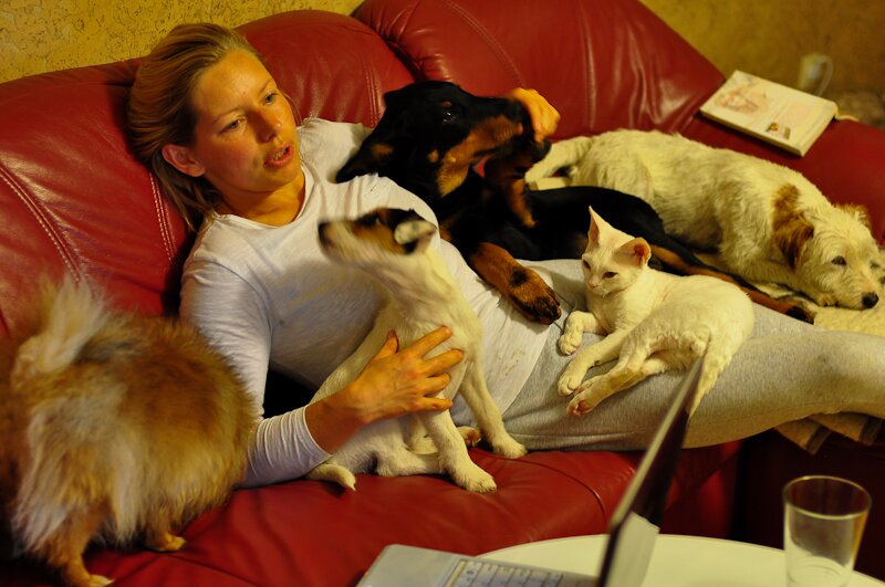 I love animals :-)