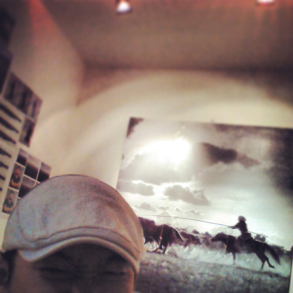 mongolphoto's profile picture. 