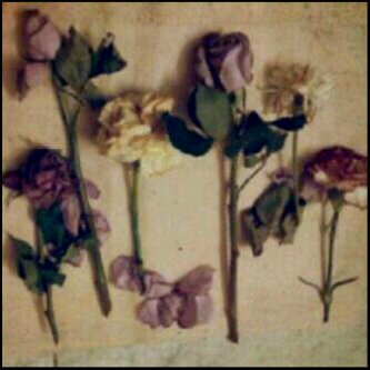 استغفر الله وأتوب أليه - سبحان الله وبحمده - سبحان الله العظيم ♡ ~