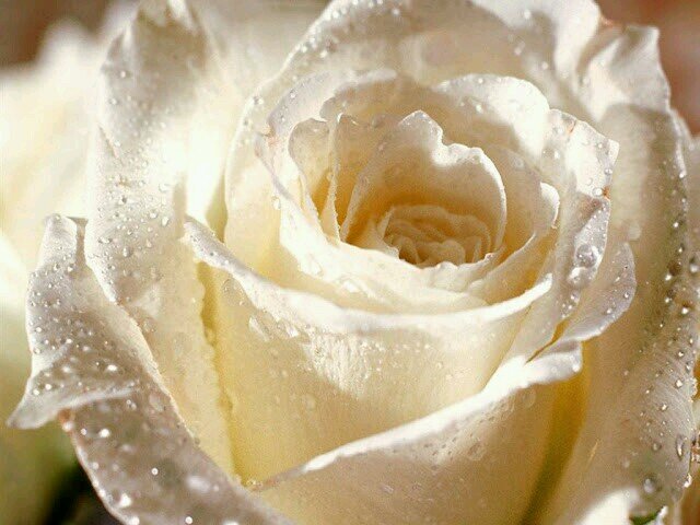 deenajamal65's profile picture. 