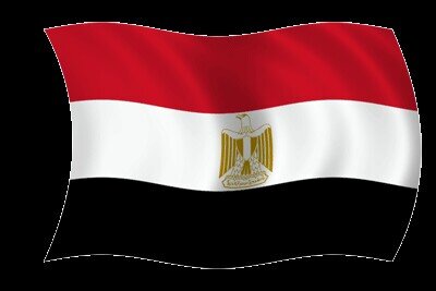 amalabdelmksoud's profile picture. 