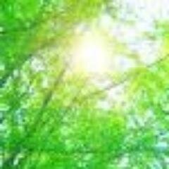 鍼灸の効果や鍼灸治療の素晴らしさをご紹介する「はり・きゅう」のポータルサイトです。東洋医学、体に効くツボなどもご紹介しています。