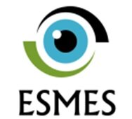 ESMES, como las siglas de la marca indican, es una empresa de estudios de mercado para startups.