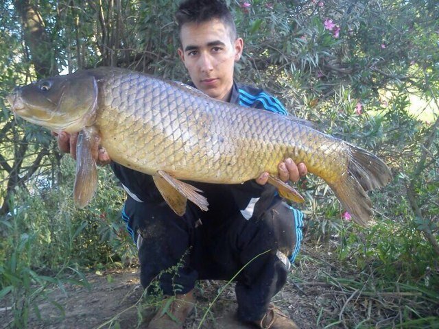 carpfishing