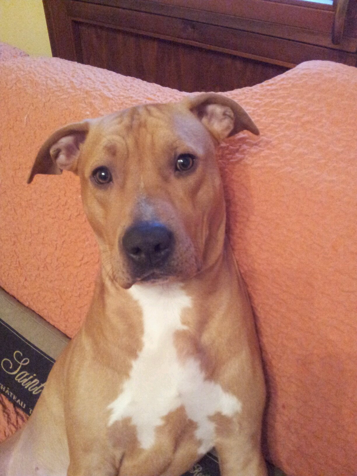 ragenet's profile picture. 