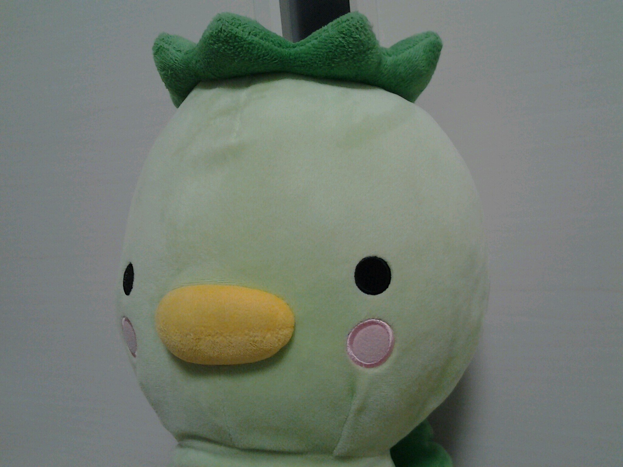 はっぱ様 セコカッパ (@seijiwaumigasuk) / Posts / X