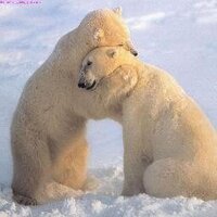The Hug Fairy (@thehugfairy) 's Twitter Profile Photo