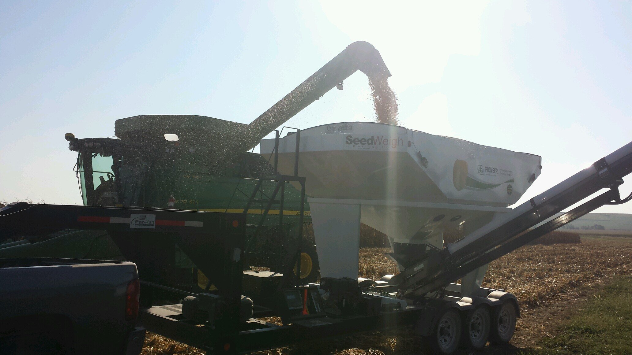 srschaaf11's profile picture. 