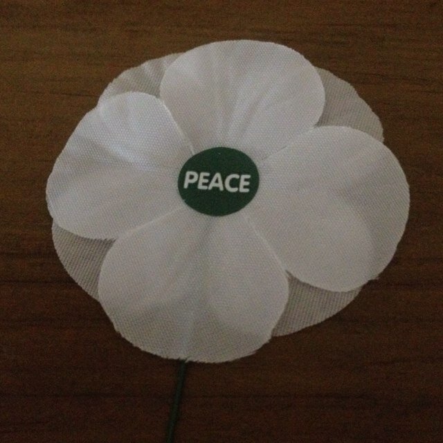 catfeettowel's profile picture. 