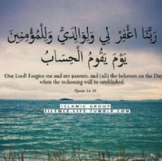 amany994's profile picture. 