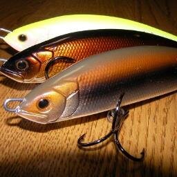 新潟在住の高１です。釣りが趣味でルアーなどいろいろやってます。釣り好きの方はフォローよろしくお願いします。