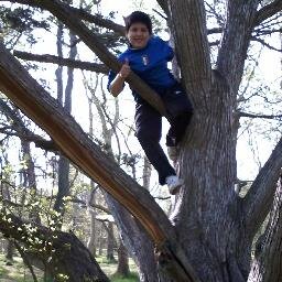 ValentinoV446's profile picture. 