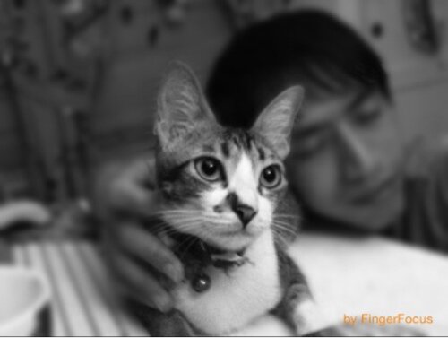 DarnSemifinal's profile picture. ‘Darn Semifinal’ is an anagram of ‘animal friends’; my Osa was created shortly after Federer lost in a semifinal match.