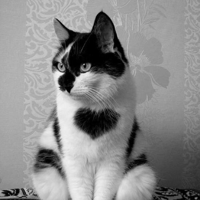 putacuenta1023's profile picture. 