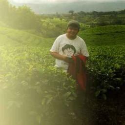 Orang bijak adalah orang yang menyadari kesalahan diri sendiri dan merubahnya menjadi lebih baik