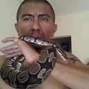 Elvis Jimenez - @Gala_Reptiles - Twitter