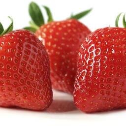 DearFreeos's profile picture. Lovely Free OSs Insights