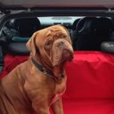 Philippa Murphy - @drbinky46 - Twitter