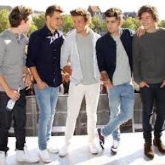 Hi I'm a Directioner forever and always,follow me i follow back thanx for every one who follows ily have a nice day :)