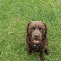 Daniel Maxwell (@danielmaxwell1) 's Twitter Profile