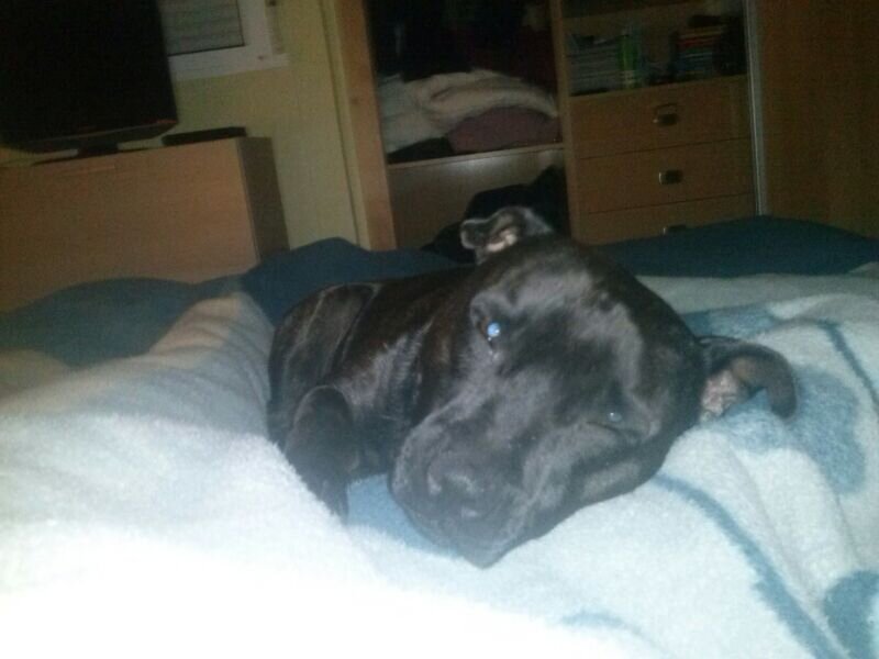 juan_pozuelo_'s profile picture. 